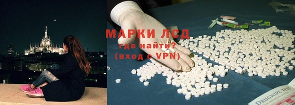 прущие грибы Абаза