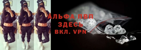 стафф Абинск
