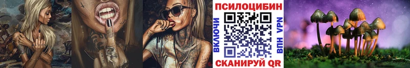 OMG рабочий сайт  Прохладный  Псилоцибиновые грибы мухоморы 